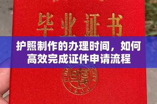 右江护照制作的办理时间，如何高效完成证件申请流程